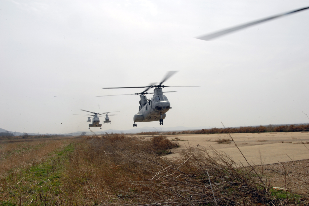 Zwei Militärhubschrauber fliegen über ein trockenes Grasfeld mit Bergen im Hintergrund unter einem klaren blauen Himmel.