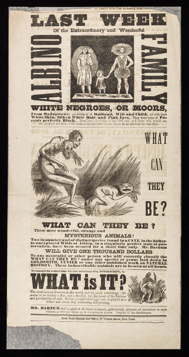 Schwarze Zeitungsanzeige für "Die Außergewöhnliche und Wundersame Familie" mit Text und Bildern.