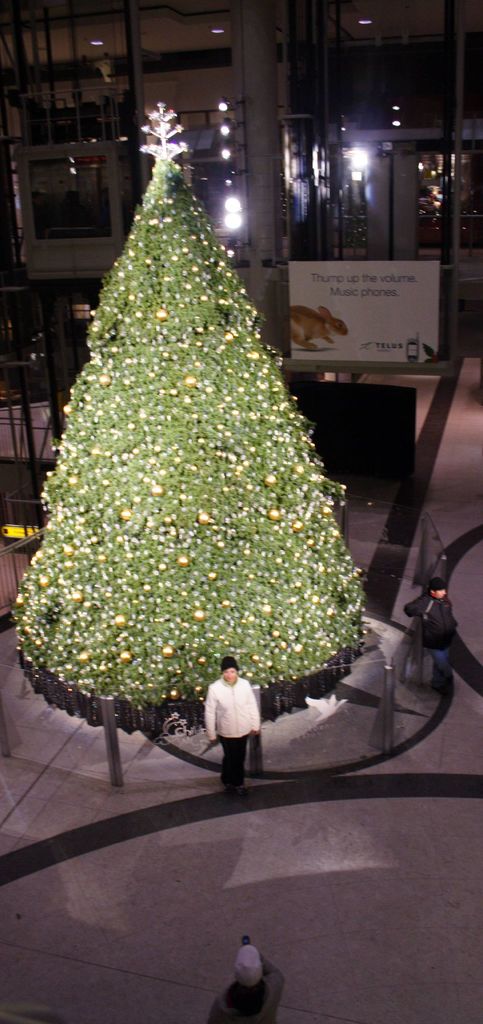 Ein Weihnachtsbaum mit Schmuck, eine Glaswand, Lichter, Säulen, ein Plakat und drei Personen vor einem Gebäude.