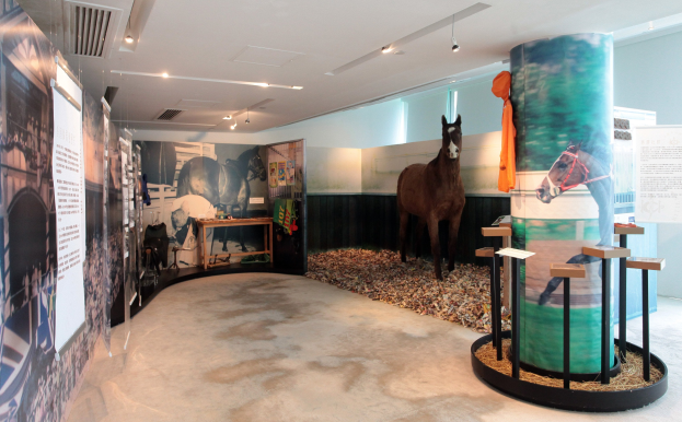 Ein Museumsausstellungsstück mit einem aufgestellten Pferd, umgeben von Informationsplakaten, einem Tisch mit Artefakten und einer Deckenbeleuchtung.