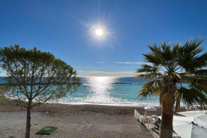 Ein sonniger Strand mit Palmen, Schirmen und üppiger Vegetation unter einem strahlend blauen Himmel an der französischen Riviera.
