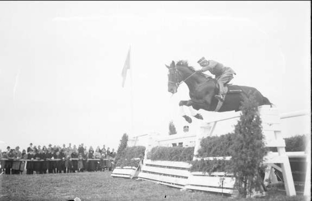 Schwarzes und weißes Foto eines Pferdes und Reiters, die über ein Hindernis springen, auf dem 1953er Royal Ascot Horse Trials, mit Zuschauern, einer Fahne und Grün im Hintergrund.