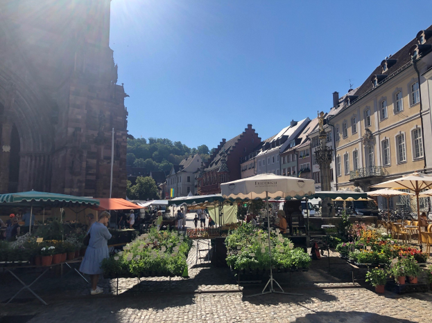 Hochzeitsmarkt Prunkvoll Eröffnet - Hochzeit, Gemeinschaft & Bestes Ambiente in Kaltennordheim