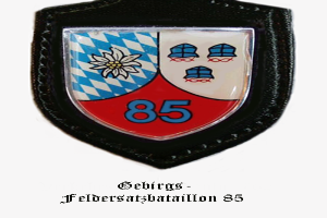 Ein Abzeichen mit der Nummer 85, das das Logo der bayerischen Fußballmannschaft darstellt, mit deutschem Text unten.