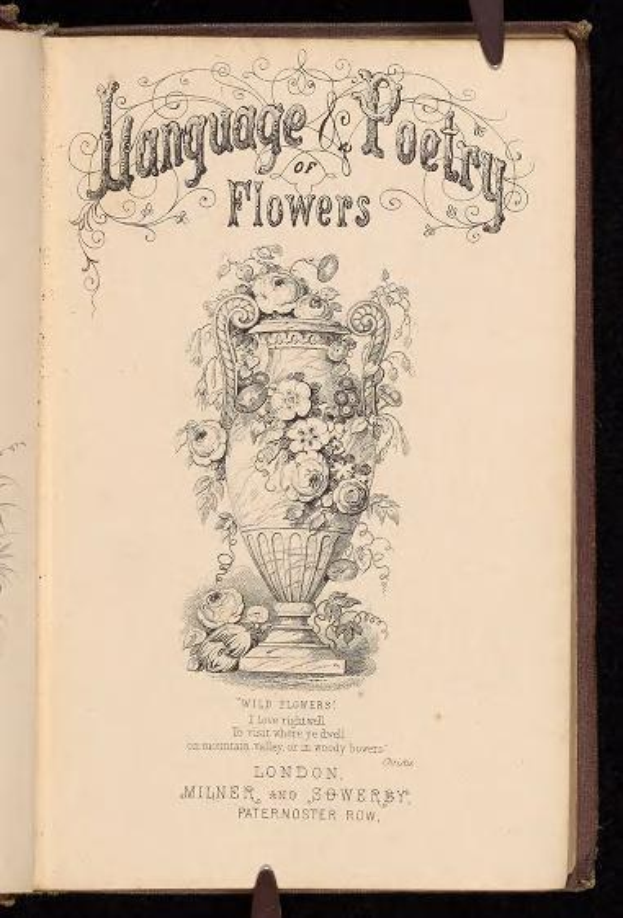 Offenes Buch mit dem Titel "Sprache und Dichtung der Blumen" (1867) von Milner und Sowerby, das eine Vase-Illustration mit Blumen zeigt, vor einem dunklen Hintergrund.