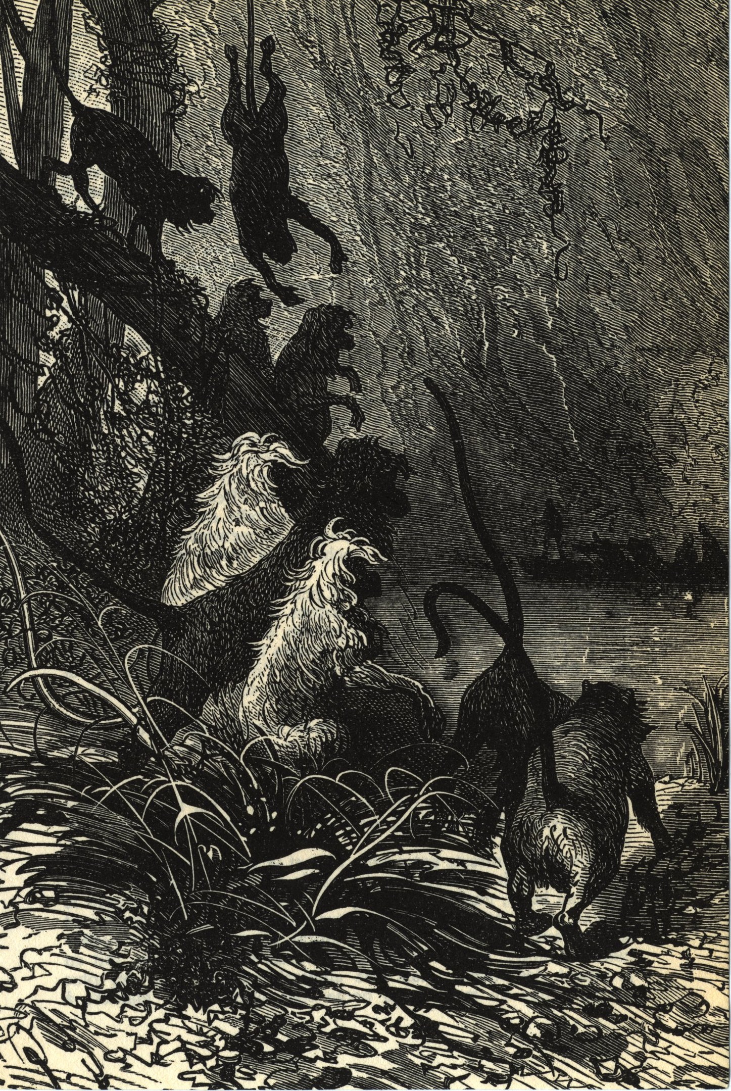 Schwarze und weiße Illustration einer Gruppe von Löwen in einer Dschungellandschaft mit üppiger Vegetation und Bäumen, die den Text 'Der Löwenkönig' unten zeigt.