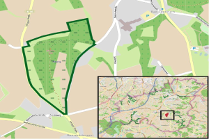 Neues Bus-Betriebszentrum, Kfz-Zulassungs- und Führerscheinstelle: Umzug von der Rheinstraße-Industriezone - Umstrukturierung geplant