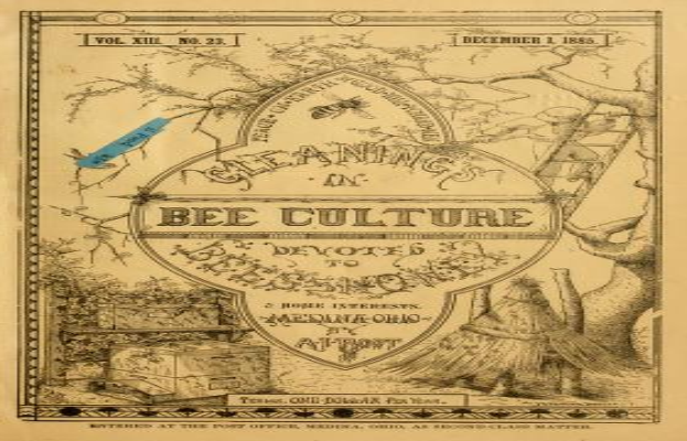 Ein altes Buch mit einer Zeichnung einer Biene, umgeben von Bäumen, einer Leiter und anderen Gegenständen, mit dem Text "Reinigung in der Bienenkultur" auf dem Cover.