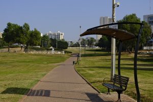 Eine Parkbank auf einem grünen Feld, umgeben von Bäumen, Polen, Lampen und Gebäuden, mit einem Mülleimer im Vordergrund.