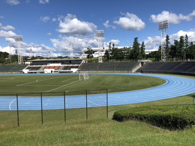 Fußballfeld mit grünem Rasen, Pflanzen und einem umgebenden Zaun, Tribünen, Flutlicht, Bäumen, Gebäuden und Türmen im Hintergrund unter einem bewölkten Himmel.