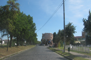 Eine belebte StraÃe mit Fahrzeugen, gesÃ¤umt von Gras, einem Zaun, StrommÃ¤sten mit DrÃ¤hten, BÃ¤umen, BÃ¤nken und GebÃ¤uden mit Fenstern unter einem hellblauen Himmel.