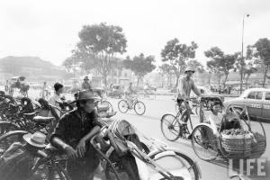 Eine viel befahrene Straße mit Fahrrädern, Autos und anderen Fahrzeugen, die an Bäumen und Gebäuden im Hintergrund vorbeifahren.