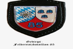 Ein Abzeichen mit der Nummer 85, das die bayerische Fußballmannschaft darstellt, mit deutschem Text unten.