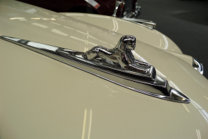 Autologos auf der Front von verschiedenen Autos