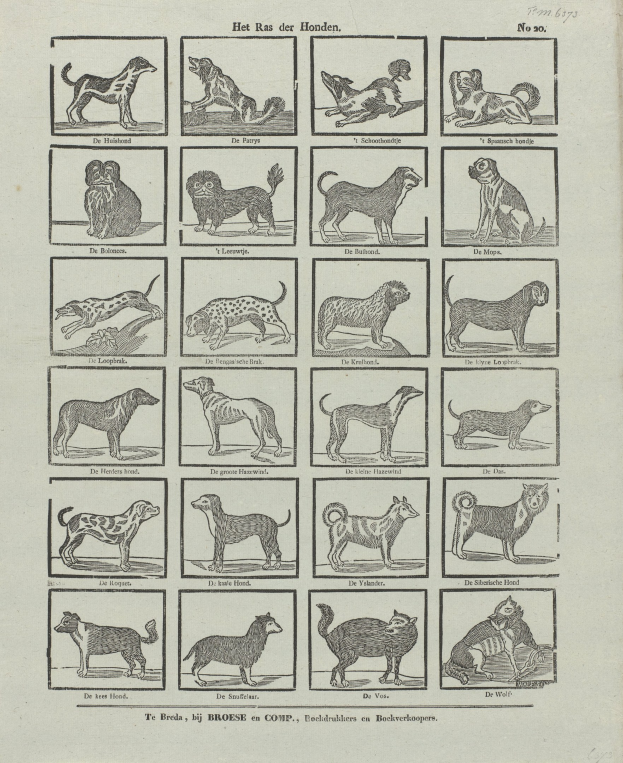 Ein offenes altes Buch mit Abbildungen verschiedener Hunderassen und begleitendem Text.