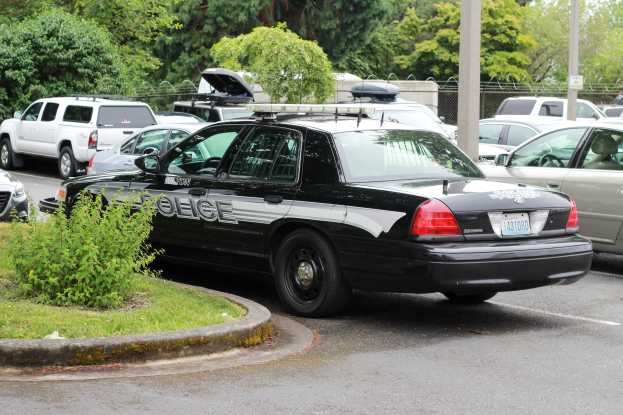 Ein Polizeiwagen auf einem Parkplatz mit anderen Fahrzeugen umgeben von Grünflächen, Pfählen und einem Maschendrahtzaun unter einem klaren blauen Himmel.