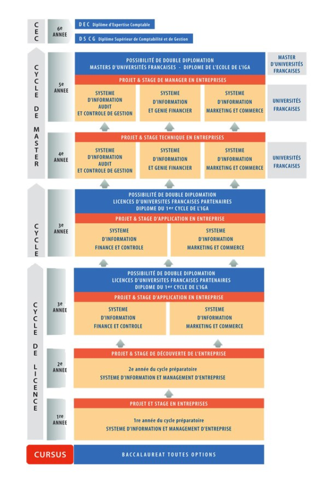 Diagramm, das die organisatorische Struktur eines Unternehmens mit Pfeilen verbindet, die die Stufen des Unternehmenswachstums darstellen.