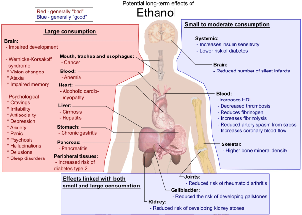 Diagramm des menschlichen Körpers mit "Ethanol" beschriftet, das mögliche langfristige Auswirkungen auf den Körper anzeigt.