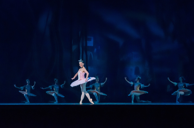 Eine Ballerina in einem rosafarbenen Tutu und Spitzenschuhen tanzt auf einer Bühne mit anderen Tänzern in passenden Kostümen vor einem dunklen Hintergrund.