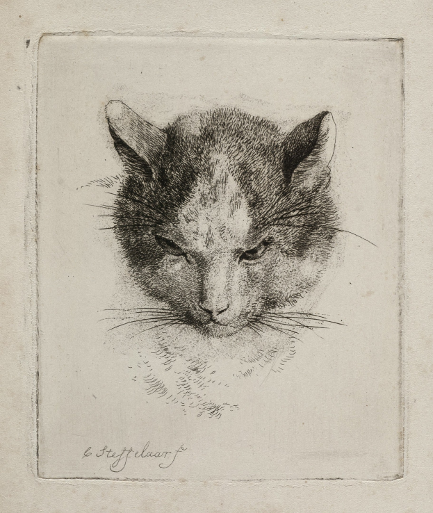Schwarz-weißes realistische Zeichnung eines Katers mit großen Augen, aufgestellten Ohren, langen Schnurrhaaren und einer eingerollten Schwanz, auf Papier mit fetter Schrift.