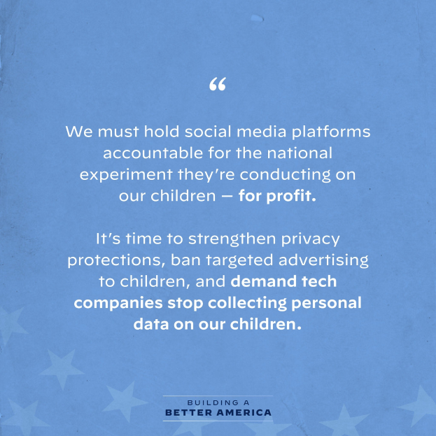 Plakat mit einem Zitat aus Building a Better America, das besagt, "Wir müssen die Social-Media-Plattformen für das nationale Experiment zur Rechenschaft ziehen, das sie an unseren Kindern durchführen - zum Profit.", verziert mit Sternen.