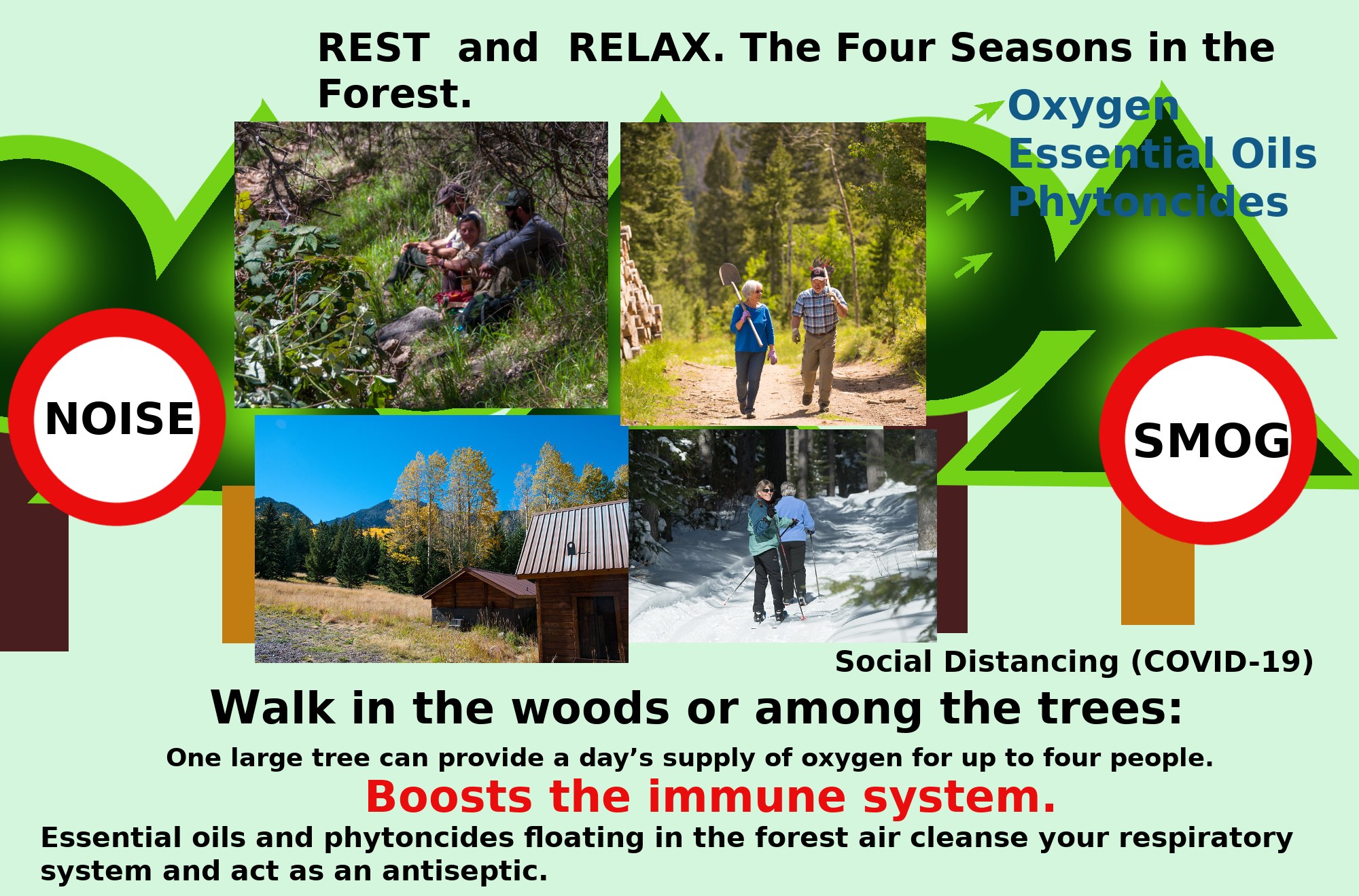 Ein Plakat mit Bildern von Menschen, die durch einen bewaldeten Bereich mit Bäumen und einem Haus gehen, um Entspannung in der Natur mit dem Text "Ruhen und Entspannen die vier Jahreszeiten im Wald." zu fördern.