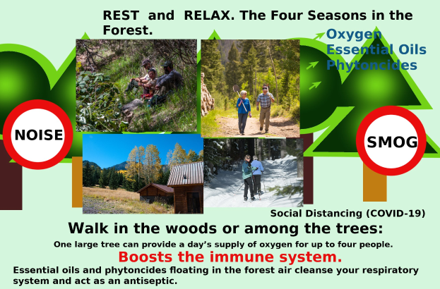 Ein Plakat mit Bildern von Menschen, die durch einen bewaldeten Bereich mit Bäumen und einem Haus gehen, um Entspannung in der Natur mit dem Text "Ruhen und Entspannen die vier Jahreszeiten im Wald." zu fördern.