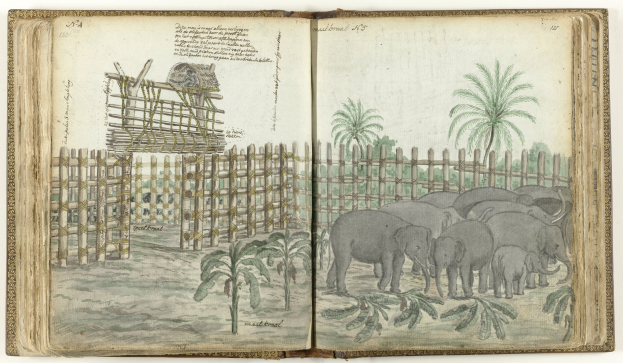 Offenes Buch mit einer Zeichnung von Elefanten in einem Zoo-Setting, umgeben von Bäumen, Pflanzen und einem Zaun, mit sichtbarem Text auf den Seiten.